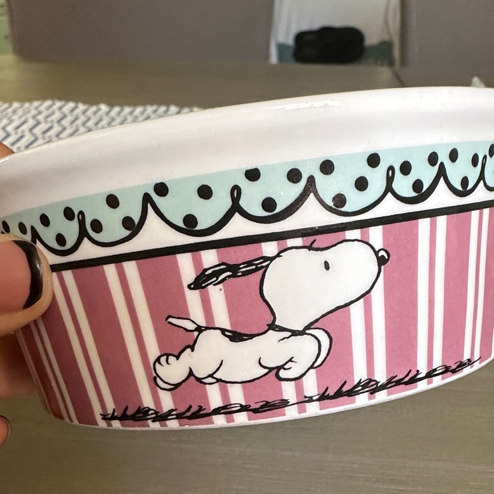 Snoopy Ceramic Bowl with Pink Stripes